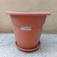 گلدان بزرگ اپارتمانی