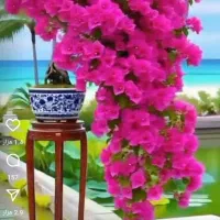 آپارتمان ۱۳۰متری،سرمعلم،پاسداران|اجارهٔ آپارتمان|سبزوار, پاسداران|دیوار