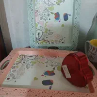 سینی  پلاستیکی|ظروف نگهدارنده، پلاستیکی، یک‌بارمصرف|تهران, شیوا|دیوار