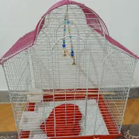 قفسه عروس هلندی