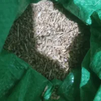 دو تن گندم فروش