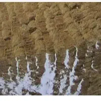 یونجه درجه یک چین دوم