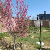 اجرای آبیاری اتوماتیک قطره ای هوشمند