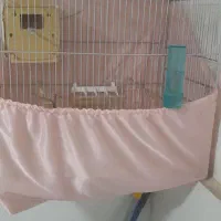 قفس بزرگ با کل وسایل و لانه بزرگ و کاور