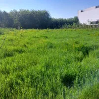 زمین ۱۰۰۰ متری زراعی کوچه کنار سیتادیوم|فروش زمین و ملک کلنگی|رشت, دیلمان|دیوار