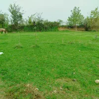 فروش زمین روستای سقالکسار