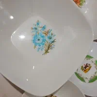 دیسها دپنه 150و بقیه بشقابها دونه 50