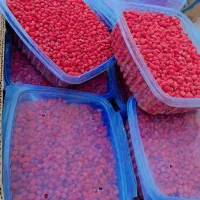 زرشک دون تازه قاینات|خوردنی و آشامیدنی|قم, بنیاد|دیوار
