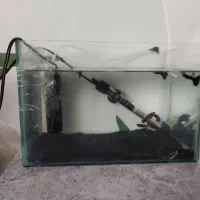 آکواریوم و شن