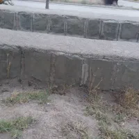دونفر نیروی ماهر کارواش