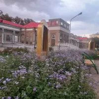 منزل-دربست
