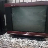 تلویزیون