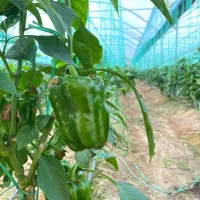 فروش آب وزمین کشاورزی اپوروار،کوهبنان