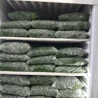 سبزی درجه یک خوزستان کاملا بهداشتی