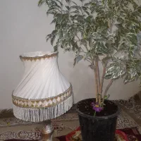 آباژور شیک مخصوص اونایی که حتی خوابشون هم ارزش مید|چراغ خواب و آباژور|تبریز, |دیوار