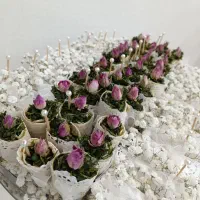 نان و پنیر و سبزی سفره عقد