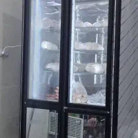 یخچال فریزر|یخچال و فریزر|کهنوج, |دیوار