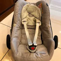 کریر نوزاد|کالسکه و لوازم جانبی|تبریز, |دیوار