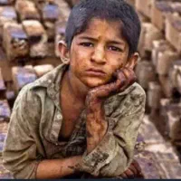 گمشده کیف جا کارتی