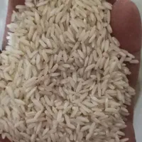 برنج.سالم و نیم دانه|خوردنی و آشامیدنی|بروجرد, |دیوار