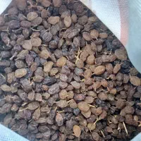 شیره انگور وکشمش آفتابی