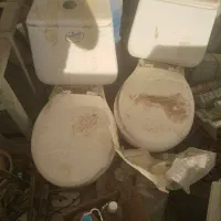 توالت فرنگی