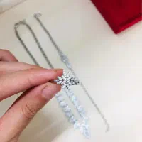 سرویس آبکاری نقره|بدلیجات|بندرعباس, |دیوار