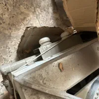 گاز