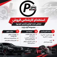 استخدام کارشناس فروش(پخش عمده لوازم آپشن خودرو(