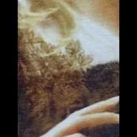 تابلو فرش|تابلو فرش|مشهد, جانباز|دیوار