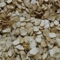 چیپس موسیر امسالی کلات نادر شاه