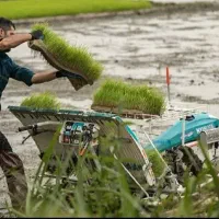 نشا کاری با دستگاه نشا ۶ ردیفه
