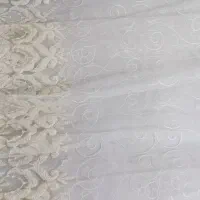 تور حاشیه دار تولینت