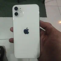 iphone 11 normal