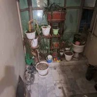 گلدون ها  با استند گل