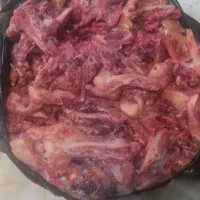 غذای استخوای برای سگ