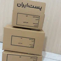 کارتن پستی