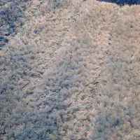 قالیچه نو فقط ۴تومن|فرش|کرمان, |دیوار