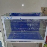 آکواریوم بدون پایه