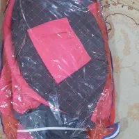 کالسکه دلیجان|کالسکه و لوازم جانبی|چهارباغ, |دیوار