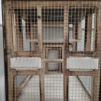 قفس سهره|لوازم جانبی حیوانات|ساوه, |دیوار