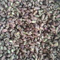 مغز پسته دامغان