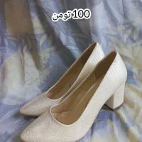 کفش مجلسی