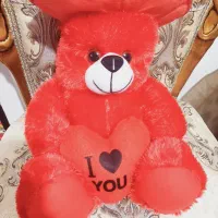 خرس قرمز وپلنگ صورتی