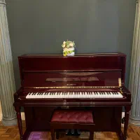 Planot UW120 الکتریک|پیانو، کیبورد، آکاردئون|مشهد, دانشجو|دیوار