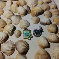 پلاک زنجیر و غیره(اکسسوری)|بدلیجات|بروجرد, |دیوار