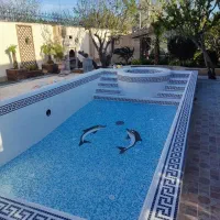 ساخت استخر وسوناوجکوزی