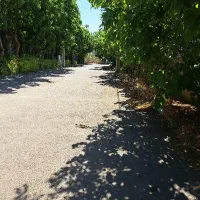 نیاوران ۳۰۰۰ متر تراکم   برج باغ