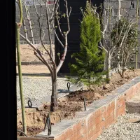 باغ و زمین کد۳۱۲|فروش زمین و ملک کلنگی|شهریار, رنگرز|دیوار