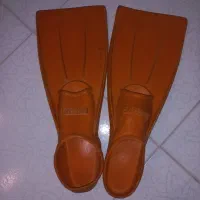 فین شنا بلند